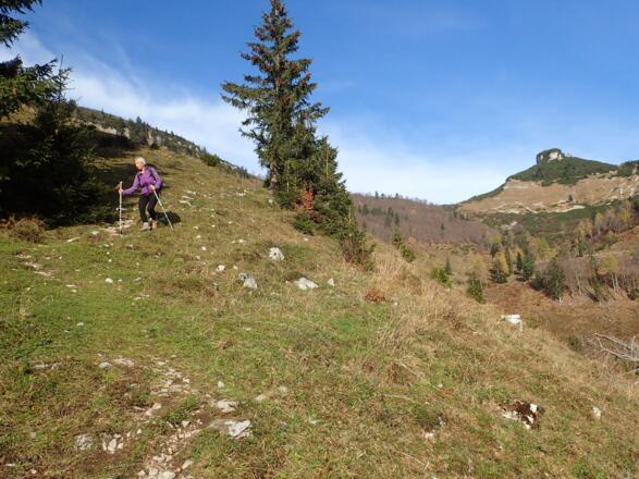 Abkürzung unterhalb der Tenneralm