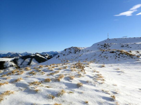 Abstieg zu den Oberwiesalmen