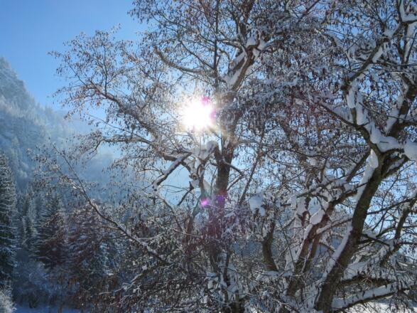 Winter