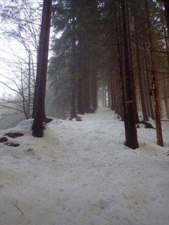 Aufstieg am Verbindungskamm