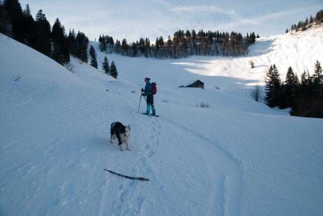 kurz vor der Stubneralm