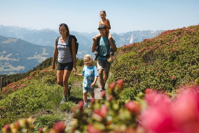 Familie wandert am Panoramaweg Wiedersberger Horn Alpbach