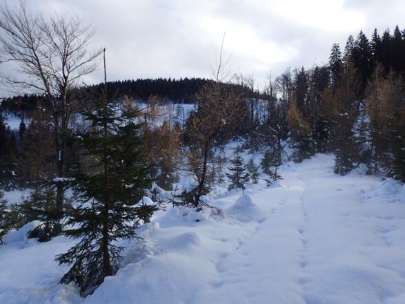 Flachstück - man folgt dem Sommerweg