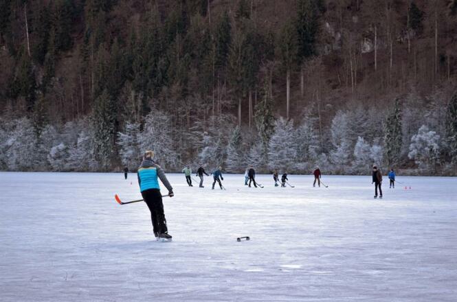 Schwansee