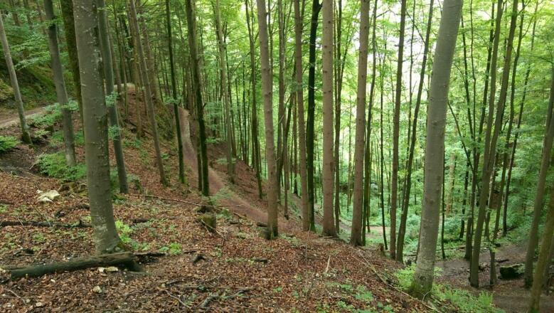 Abstieg zum Schwansee