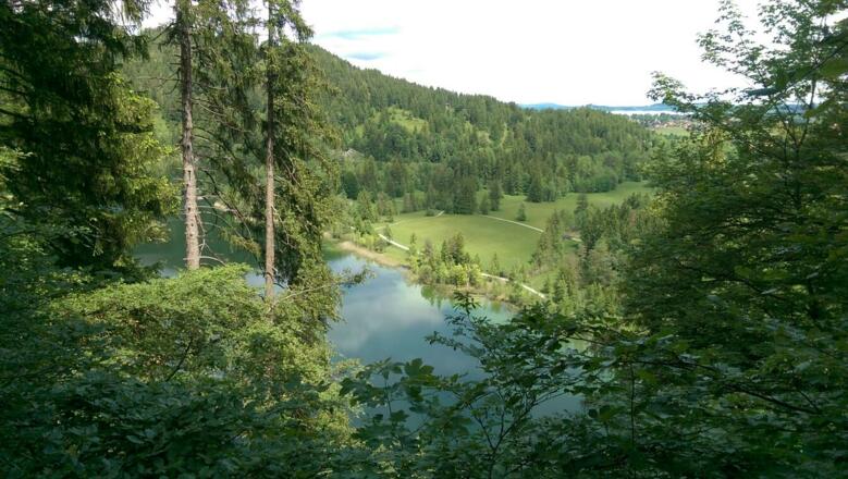 Schwansee