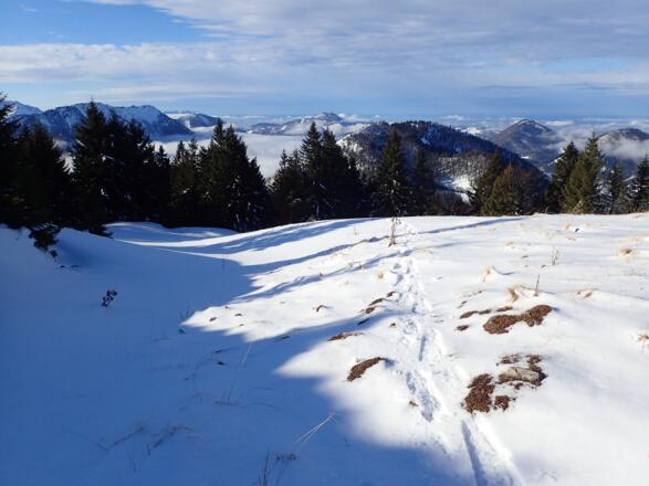 Ausblick Richtung Gaisberg