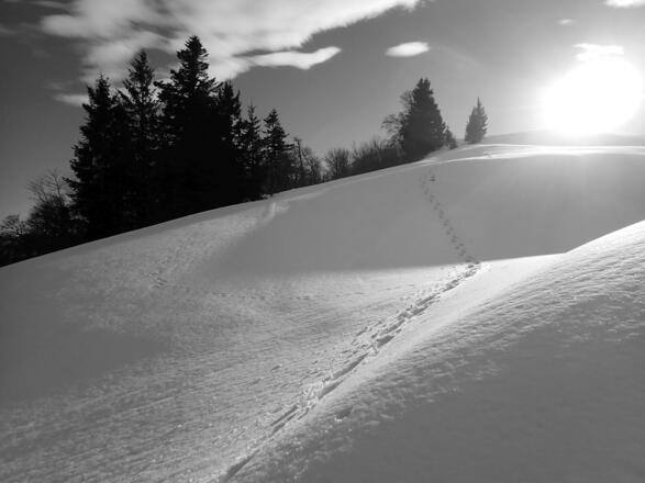 Unverspurter Hang - eher selten der Fall