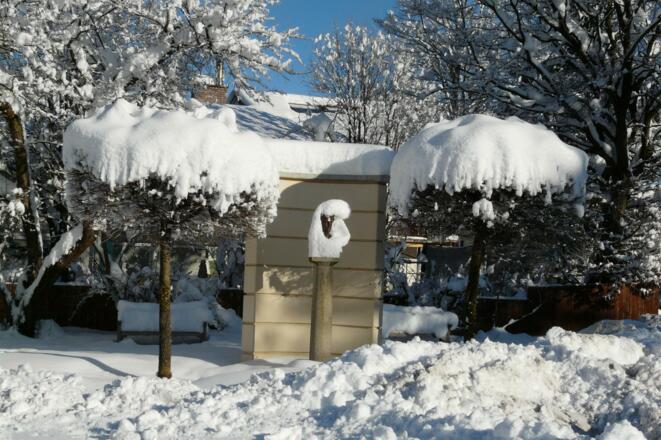 Winter