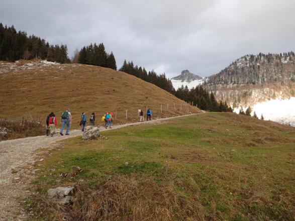 Gemütlicher Weg zur Alm
