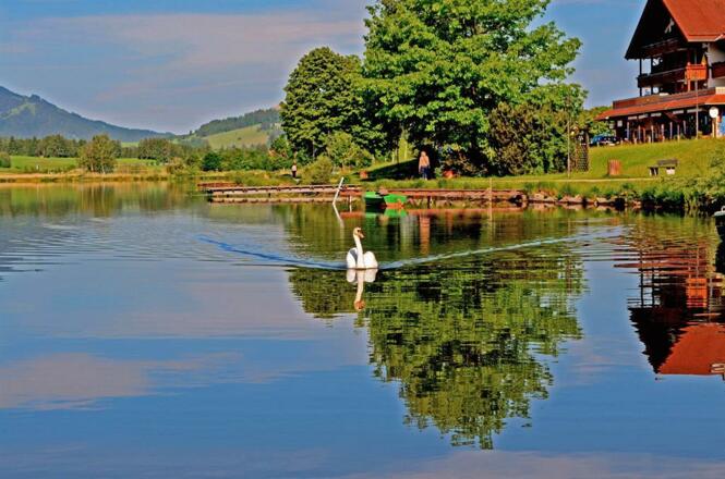 Hopfen am See
