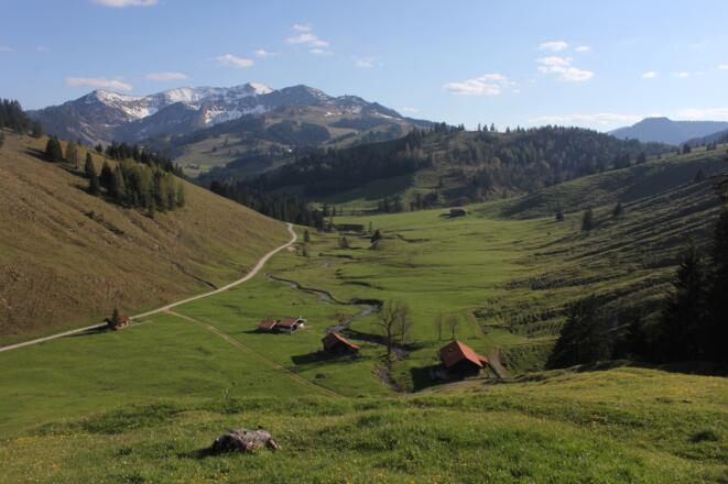 Arzmoos Almen mit Traithen im Hintergrund