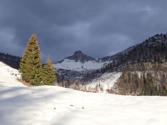 Unterhalb der Alm