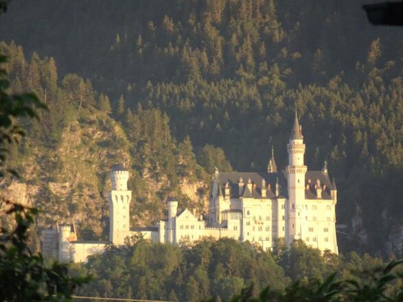 Blick auf Schloss Neuschwanstein
