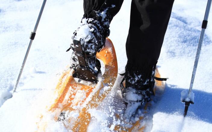 Schneeschuhwanderung durch winterliche Landschaft