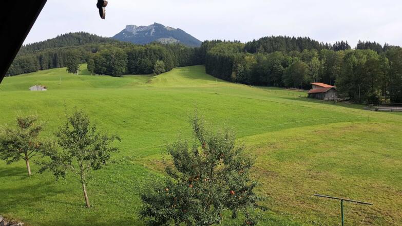 Ausblick