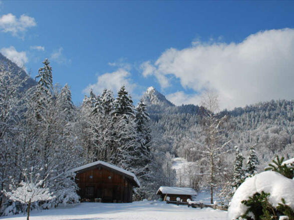 https://d1pgrp37iul3tg.cloudfront.net/objekt2_pics/obj_full_32231_003.jpg