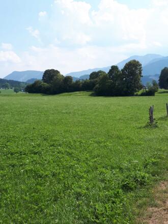 Ausblick