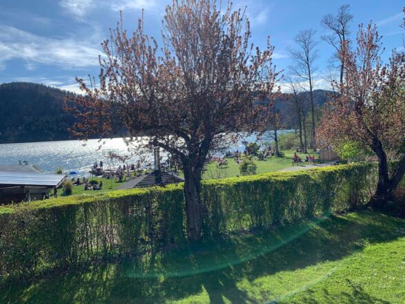 Blick zum See und Strandbad Schliersee