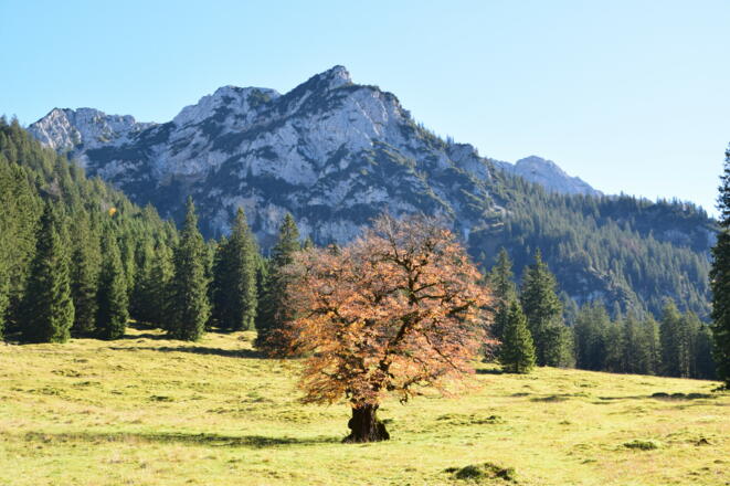 Herbst auf dem Weg zur Vilser Alm