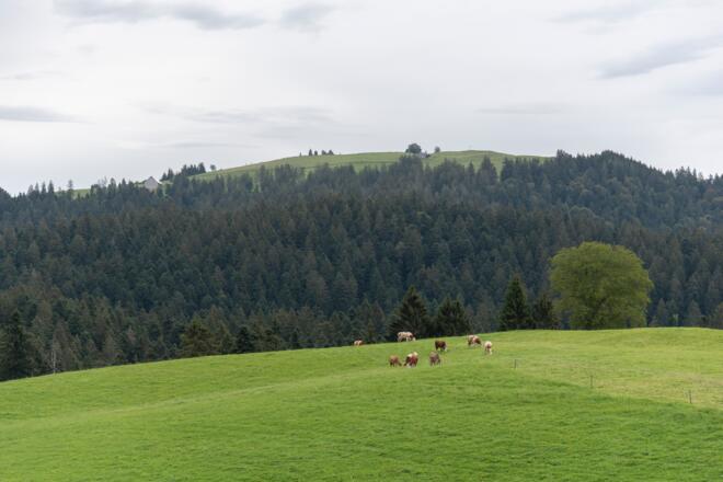 Hirschberg bei Langen