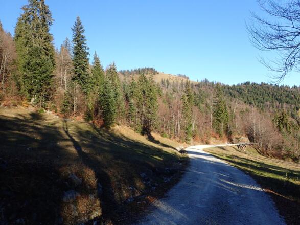 Anzenberg vom Weg Nr. 76 aus gesehen