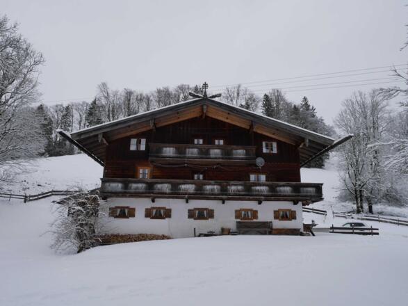 Skifahren, Schlittenfahren, ....