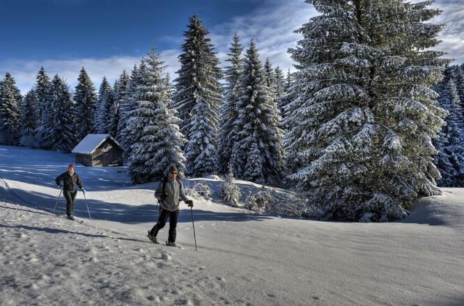 Winterlandschaft5