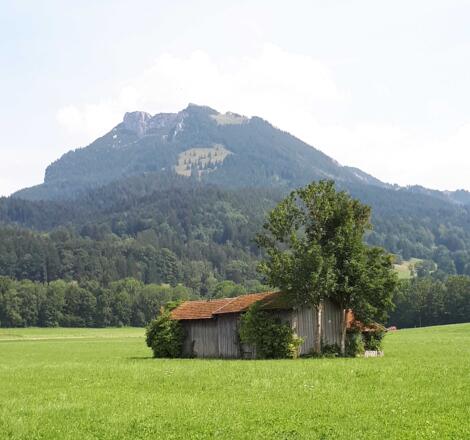 https://d1pgrp37iul3tg.cloudfront.net/objekt_pics/obj_full_28636_005.jpg