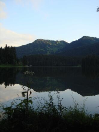 https://d1pgrp37iul3tg.cloudfront.net/objekt_pics/obj_full_28636_019.jpg