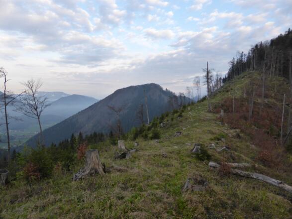 Blick zum Schmiedhorn