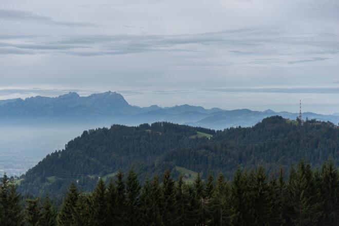 Hirschberg Gipfel mit Blick Richtung Pfänder