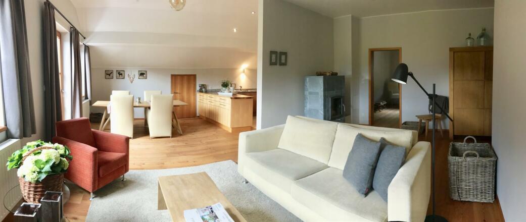 Wohnzimmer mit Ess-und Küchenbereich