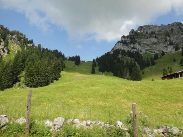 https://d1pgrp37iul3tg.cloudfront.net/objekt_pics/obj_full_28636_024.jpg