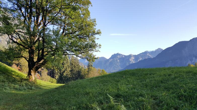 Mazutt - oberhalb von Vandans