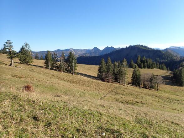 Aufstieg zum Anzenberg