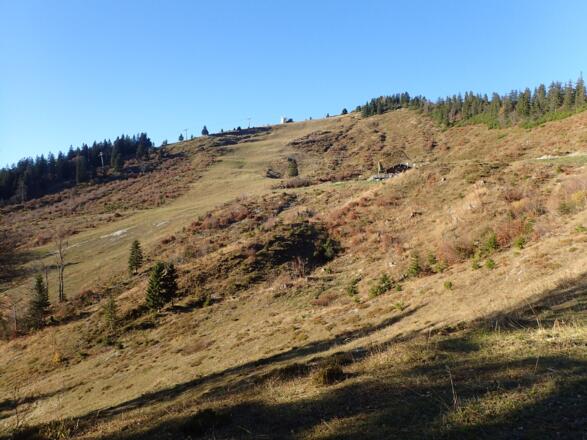 Latschenalm und Wieserhörndl