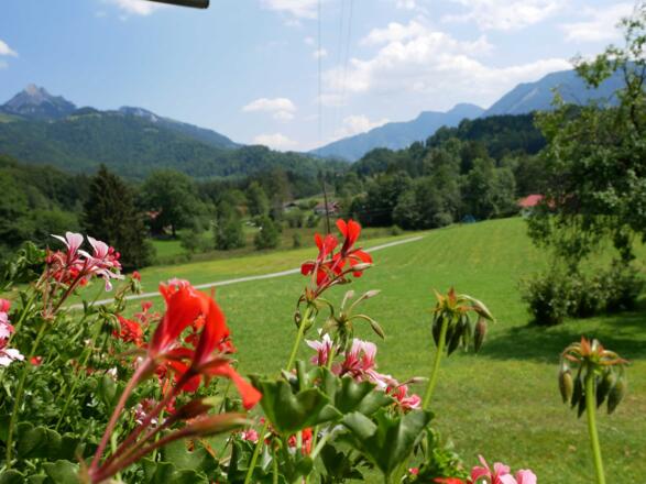 Ausblick