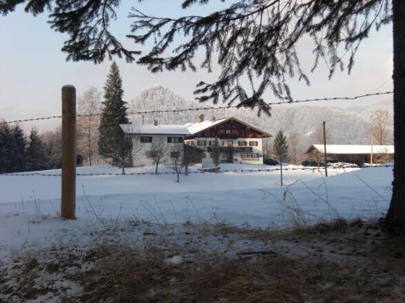 Greinhof im Winter