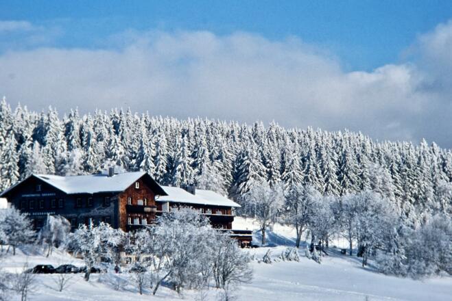 Brennes