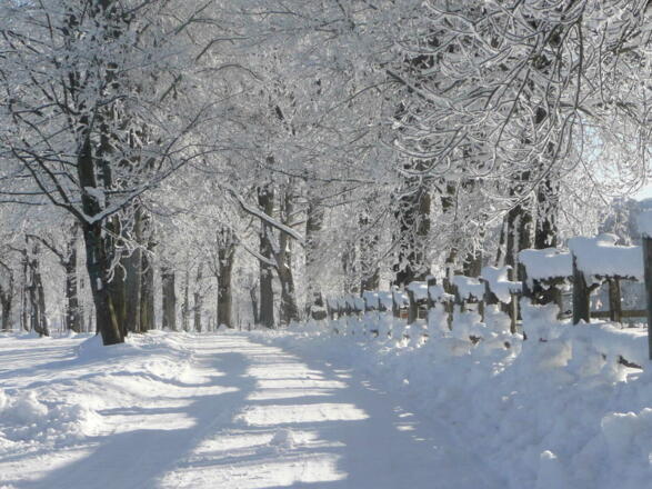 Winterlandschaft vor dem Haus