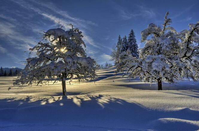 Winterlandschaft2