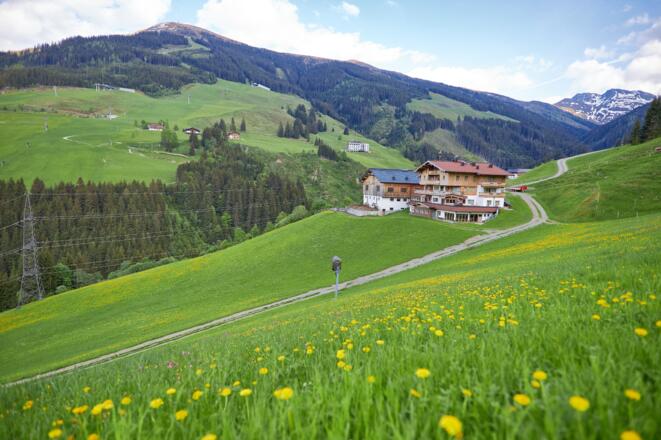 Der Perfeldhof inmitten des Wanderparadies Saalbach-Hinterglemm