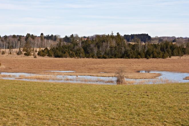 Blick bei Jägersbronn über das Moor.