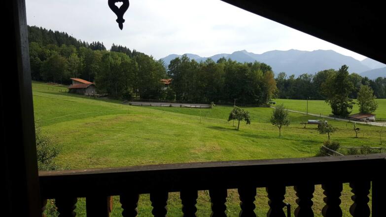 Ausblick