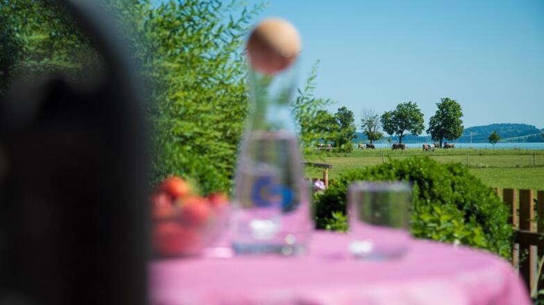 Tisch mit Granderkaraffe Richtung See Terrasse Wg.