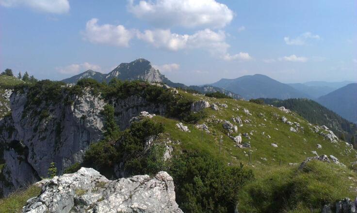 https://d1pgrp37iul3tg.cloudfront.net/objekt_pics/obj_full_28636_026.jpg