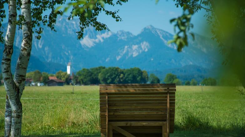 Garten Richtung Waltenhofen Liege geschwungen