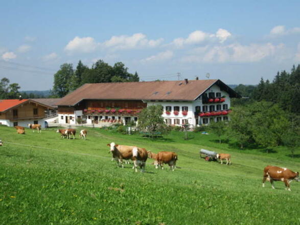 Herzlich Willkommen