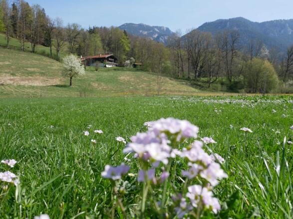 so frei liegt der Gmaiserhof in der Natur